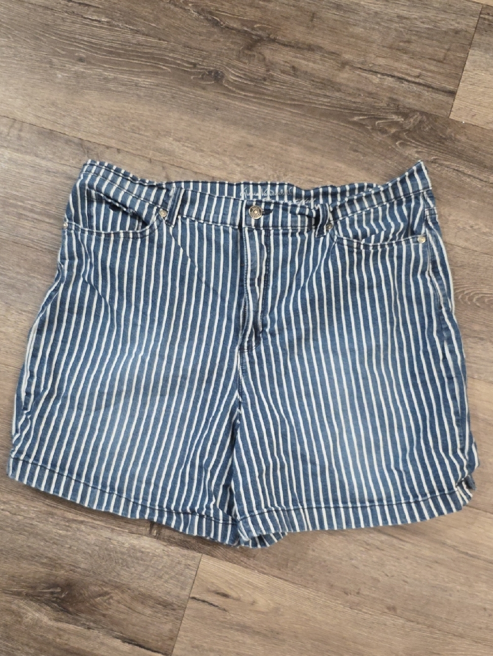 Gloria Vanderbilt Striped Shorts